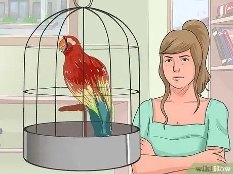 Imagen titulada Teach Your Bird to Talk Step 11