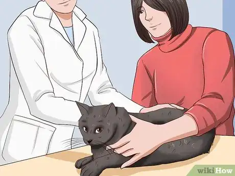 Imagen titulada Clean Your Cat When He Can't Do It Himself Step 27