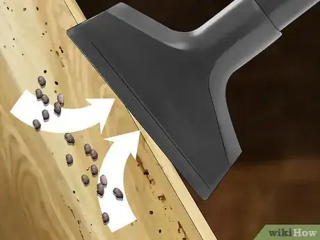 Imagen titulada Get Rid Of Roaches In an Apartment Step 10