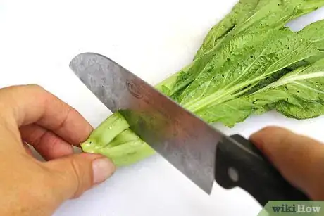 Imagen titulada Cook Mustard Greens Step 3