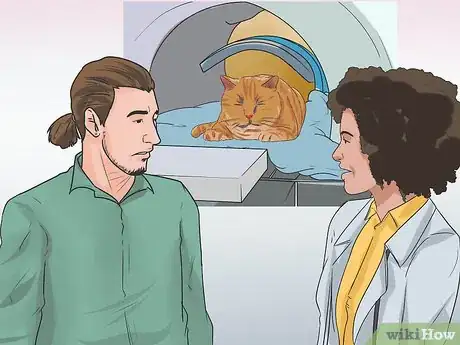 Imagen titulada Treat Feline Cancer Step 9