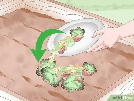 Imagen titulada Add Nitrogen to Compost Step 8