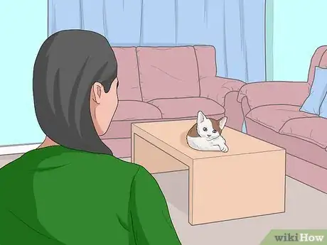 Imagen titulada Bathe a Kitten Step 8
