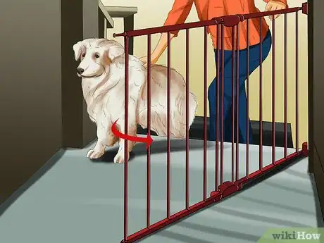 Imagen titulada Introduce a Puppy to a Dog Step 14