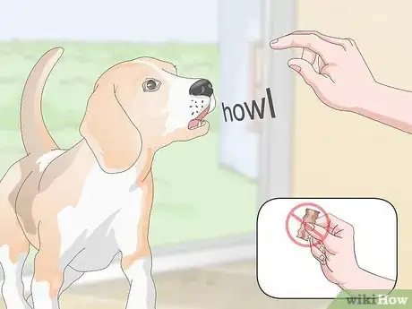 Imagen titulada Teach Your Dog to Howl Step 8