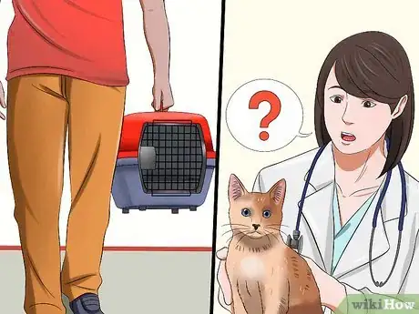Imagen titulada Tell if a Cat Has Rabies Step 6