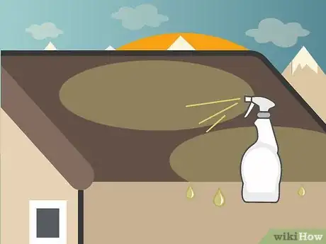 Imagen titulada Clean Mold Off a Roof Step 8