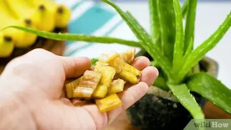 Imagen titulada Use Banana Peels Step 12
