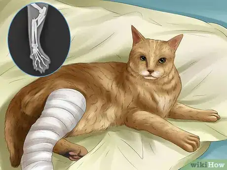 Imagen titulada Save a Cat Attacked by Dogs Step 8
