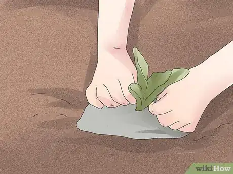 Imagen titulada Control Cutworms Step 3