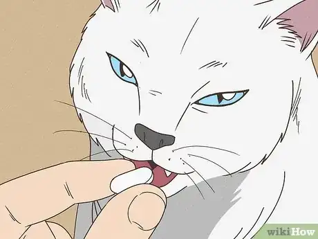 Imagen titulada Help a Cat with Epileptic Seizures Step 6