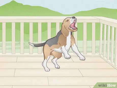 Imagen titulada Stop a Dog's Unwanted Behavior Step 1