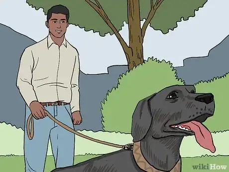 Imagen titulada Treat a Panting Dog Step 1