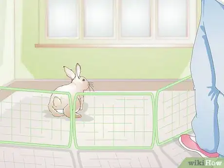 Imagen titulada Care for Your Rabbit After Neutering or Spaying Step 7
