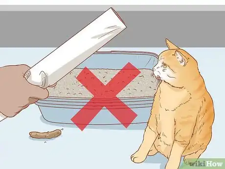Imagen titulada Train a Cat Step 6