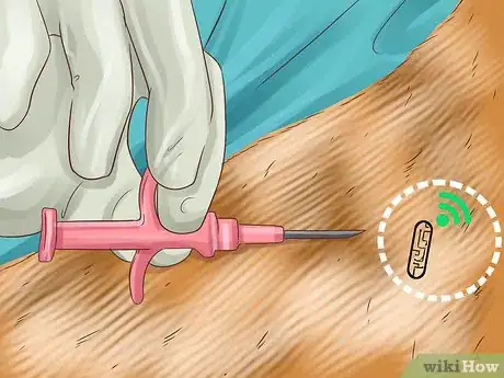 Imagen titulada Be a Responsible Dog Owner Step 13
