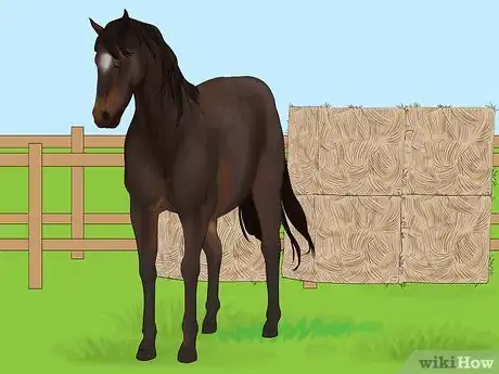 Imagen titulada Distinguish Horse Color by Name Step 3