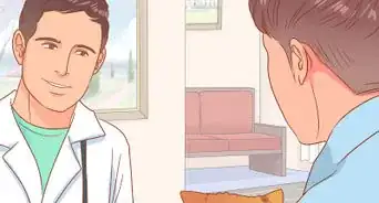 hacer que un gato regrese a casa