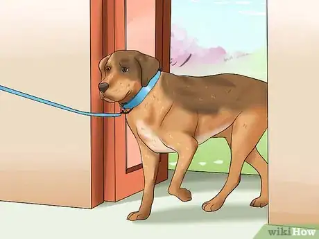 Imagen titulada Train Dogs Not to Bark Step 5