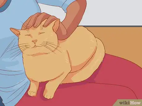 Imagen titulada Cope After the Death of a Pet Step 13