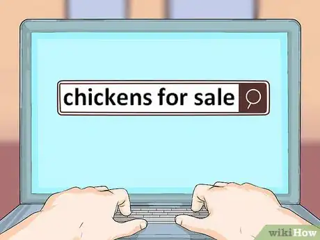 Imagen titulada Take Care of Chickens Step 10