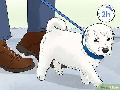 Imagen titulada Train a Dog Step 8