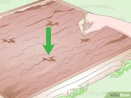 Imagen titulada Take Rose Cuttings Step 9