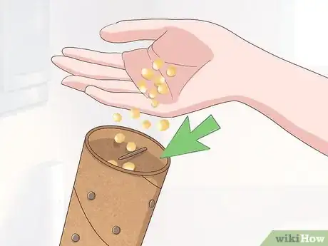 Imagen titulada Make a Rain Stick Step 8