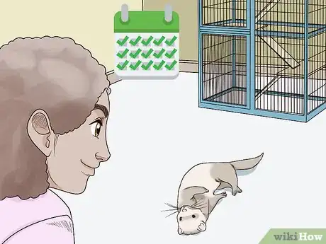 Imagen titulada Keep a Single Ferret Happy Step 10