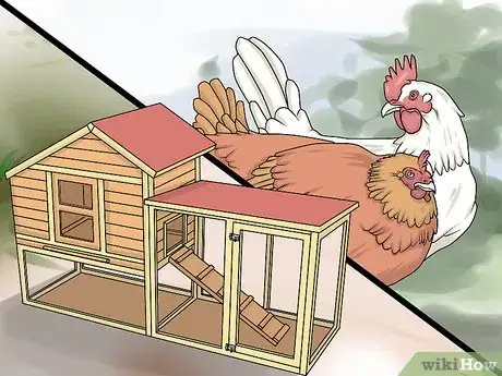 Imagen titulada Take Care of Chickens Step 11