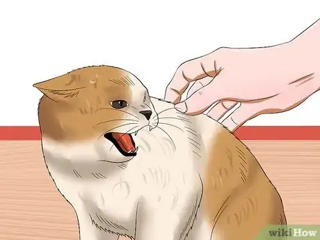 Imagen titulada Tell if a Cat Has Rabies Step 4