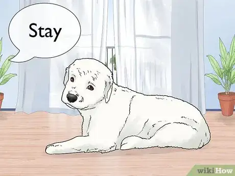 Imagen titulada Train a Dog Step 6