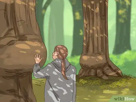 Imagen titulada Find Burl Wood Step 4