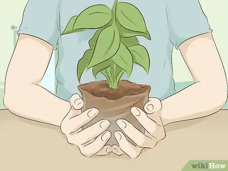 Imagen titulada Create a Rain Garden Step 6.jpeg