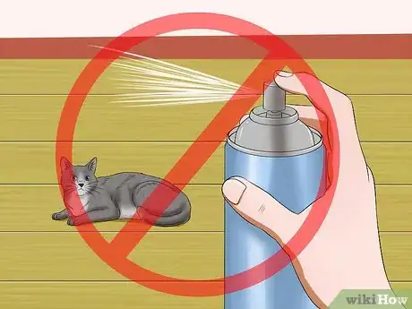 Imagen titulada Stop a Cat from Pulling Its Hair Out Step 4