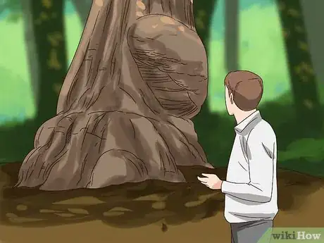 Imagen titulada Find Burl Wood Step 1