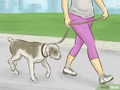 Imagen titulada Keep Your Dog Happy Step 4
