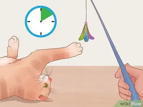 Imagen titulada Reduce Stress in Cats Step 18