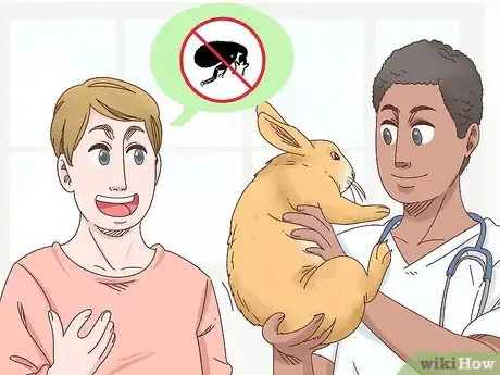 Imagen titulada Get Rid of Fleas on Rabbits Step 9