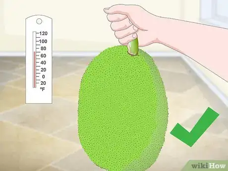 Imagen titulada Buy Jackfruit Step 11