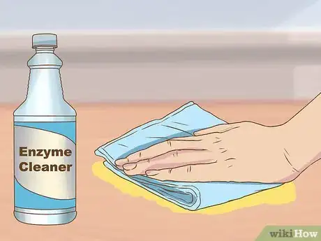 Imagen titulada Get Your House to Not Smell Like Your Pets Step 2