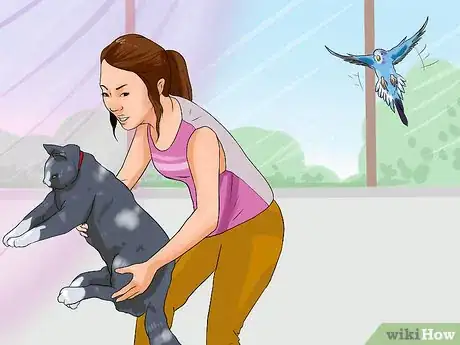 Imagen titulada Chase a Bird out of an Enclosed Porch or a House Step 2