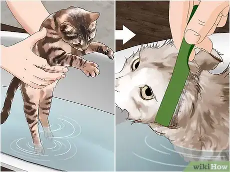 Imagen titulada Make a Flea Trap Step 10