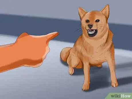 Imagen titulada Introduce a Puppy to a Dog Step 15