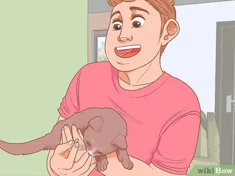 Imagen titulada Pick Up a Kitten Step 16