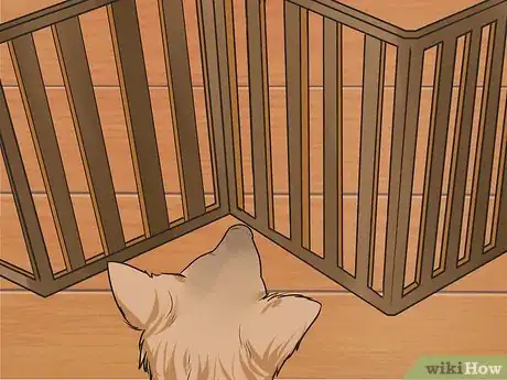 Imagen titulada Train Your Dog from Running out of Your House Step 9