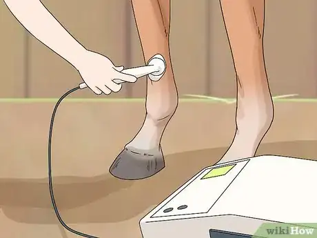 Imagen titulada Treat Edema in Horses Step 10