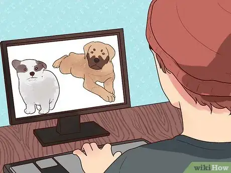 Imagen titulada Buy a Puppy Step 6