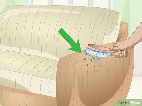 Imagen titulada Clean a Chenille Sofa Step 1