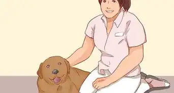 enseñarle a tu perro a no morder